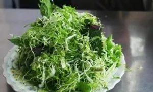 Nhiễm sán dây dài 3 mét do thói quen ăn rau sống