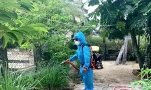Người đàn ông tử vong sau khi mắc liên cầu lợn