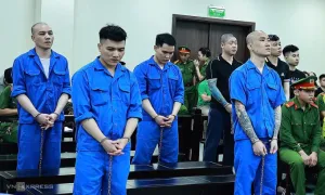Án tù với tội liên quan thuốc phiện, cần sa khác heroin thế nào?
